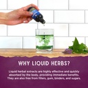 wishgarden-herbs-chlorophyll-friends-chl-5.jpg