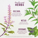 wishgarden-herbs-chlorophyll-friends-chl-4.jpg