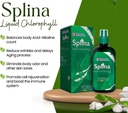 edmark-splina-liquid-chlorophyll-500ml-g-4.jpg