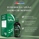 edmark-splina-liquid-chlorophyll-500ml-g-2.jpg