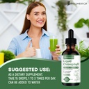 2-pack-liquid-chlorophyll-drops-all-natu-4.jpg