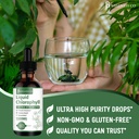 2-pack-liquid-chlorophyll-drops-all-natu-6.jpg