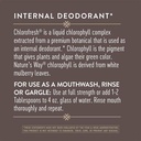 nature-s-way-chlorofresh-liquid-chloroph-6.jpg