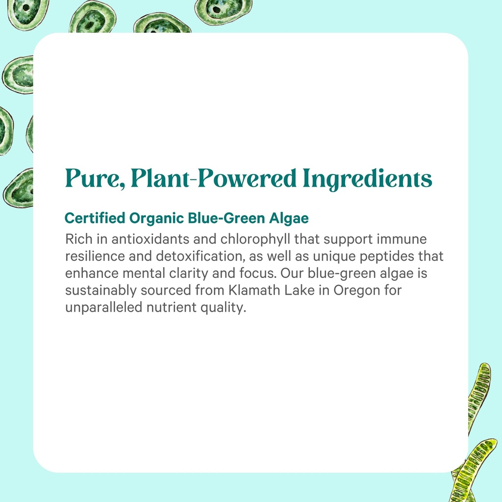 pure-synergy-blue-green-algae-capsules-s-5.jpg