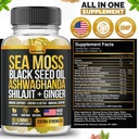 sea-moss-black-seed-oil-ashwagandha-ging-6.jpg