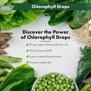 buried-treasure-liquid-chlorophyll-drops-3.jpg