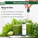 buried-treasure-liquid-chlorophyll-drops-5.jpg