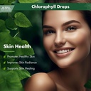 buried-treasure-liquid-chlorophyll-drops-4.jpg