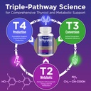thyroid-support-supplement-for-women-men-3.jpg