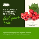 swanson-hawthorn-berry-full-spectrum-cir-5.jpg