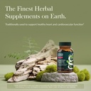 gaia-herbs-hawthorn-supreme-hawthorn-ber-2.jpg