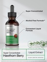 horb-ach-hawthorn-berry-extract-2-fl-oz--3.jpg