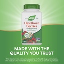 nature-s-way-premium-herbal-hawthorn-ber-5.jpg