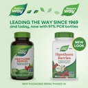 nature-s-way-premium-herbal-hawthorn-ber-3.jpg