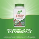 nature-s-way-herbal-hawthorn-berries-tra-4.jpg