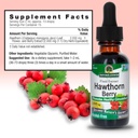 nature-s-answer-hawthorn-berries-promote-3.jpg