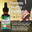 nature-s-answer-hawthorn-berries-promote-5.jpg