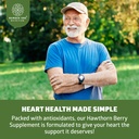 number-one-nutrition-n1n-premium-hawthor-4.jpg