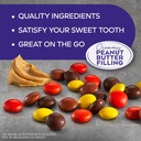 atkins-endulge-treat-peanut-butter-candi-4.jpg