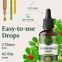 herbamama-goldenseal-root-tincture-vegan-6.jpg