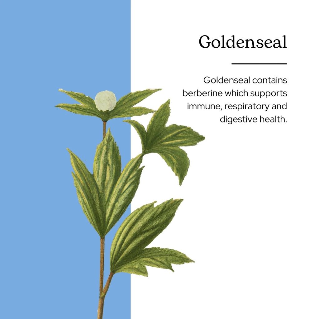 eclectic-herb-goldenseal-extract-immune--2.jpg