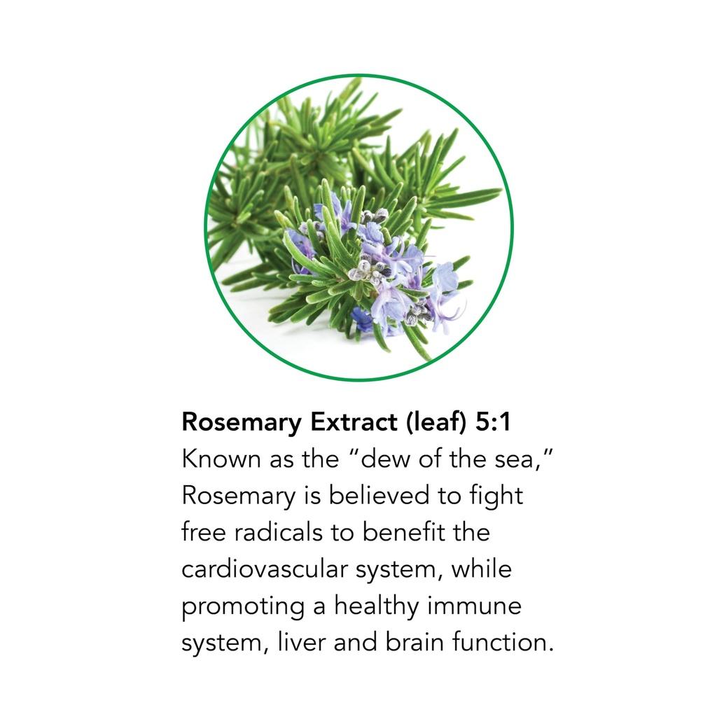 botanic-choice-passion-flower-rosemary-l-4.jpg