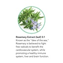 botanic-choice-passion-flower-rosemary-l-4.jpg