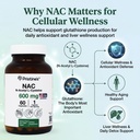 pristine-s-n-acetyl-l-cysteine-nac-600mg-6.jpg