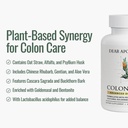 colon-cleanse-detox-supplement-psyllium--2.jpg