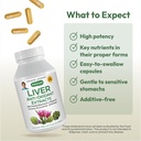 andrew-lessman-liver-anti-oxidant-extrac-4.jpg