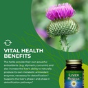healthforce-superfoods-liver-rescue-natu-6.jpg