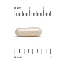 resveratrol-98-pure-trans-resveratrol-fr-3.jpg
