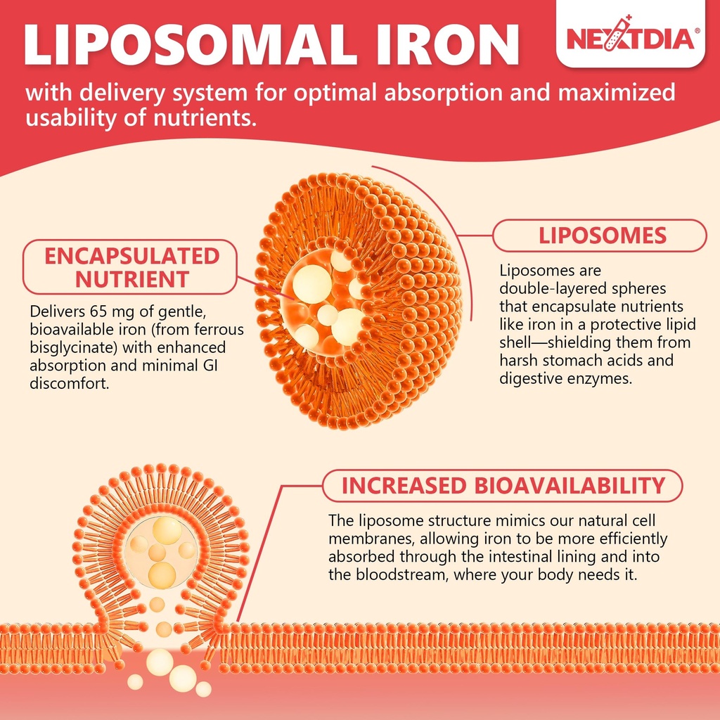 liposomal-iron-ferrous-bisglycinate-65mg-6.jpg
