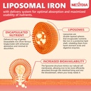 liposomal-iron-ferrous-bisglycinate-65mg-6.jpg