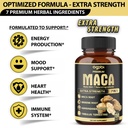 7in1-premium-maca-root-capsules-with-ash-3.jpg