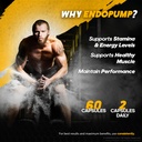 rize-labs-endopump-capsules-support-supp-4.jpg