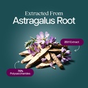 astragalus-root-8-month-supply-immune-en-3.jpg