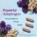 astragalus-root-8-month-supply-immune-en-5.jpg