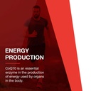 protocol-for-life-balance-ubiquinol-200m-3.jpg