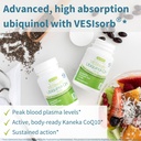 igennus-advanced-vesisorb-ubiquinol-100m-2.jpg