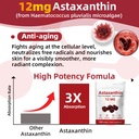 astaxanthin-12mg-2-packs-potent-antioxid-3.jpg