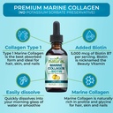 why-not-natural-organic-b12-drops-and-li-6.jpg
