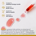 premier-research-labs-b12-nd-vitamin-b12-4.jpg