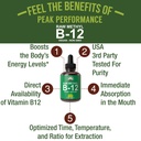 raw-methyl-b12-liquid-drops-sublingual-f-2.jpg