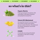 lemme-matcha-superfood-energy-gummies-wi-3.jpg