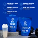 koia-plant-based-protein-elite-powder-va-6.jpg