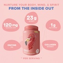 birdman-fitmingo-vegan-protein-powder-wi-4.jpg