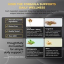 ultra-muscle-builder-supplement-with-l-a-5.jpg