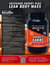 healthy-n-fit-anabolic-carbs-natural-fru-3.jpg