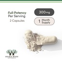 alpha-gpc-choline-brain-supplement-for-a-3.jpg